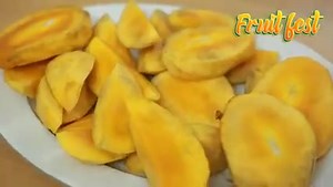 কোডার্সট্রাস্ট বনানী ক্যাম্পাসে আজ হয়ে গেলো ফ্রুট ফেস্টিভ্যাল। | CodersTrust