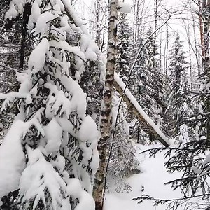 Building super a frame off grid transformer cabin in taiga diy.#survival #adventure #wilderness #camping #bushcraftcamping​ #logcabin #cabin | Elaine Schroeder