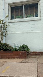 Julieta and I love a black jean jacket look. These were some favorite pieces to pair with them on our recent trip to Philly. It's always so good to get these rare chances to work together in person! Love you, amiga! xo, Laura Julieta's Look Similar jacket: https://shopstyle.it/l/bTygR?pdata=fb Pants: https://shopstyle.it/l/bTyfd?pdata=fb Shoes: https://shopstyle.it/l/bTyff?pdata=fb Bodysuit: https://shopstyle.it/l/bTyfk?pdata=fb Bag: https://shopstyle.it/l/bTyg6?pdata=fb Laura's Look Jacket: htt