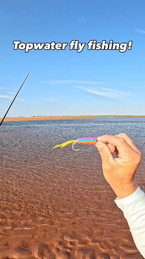 Swinging topwater flies in shallow water! #topwater #flyfishing #onthefly #striperfishing #striper #catchandrelease #princeedwardisland #onthewater | Mackenzie Sapier