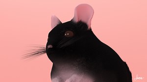 Chinchilla - Fur Simulation