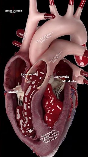 The Most Advanced Heart Simulation Ever 💓