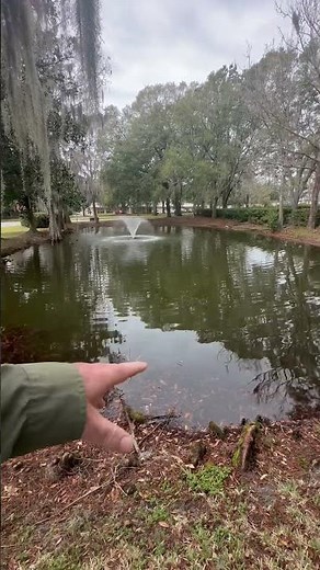 Understanding small pond management