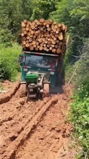 The Little Engine That Could: Tractor Pulls a Loaded Log Truck Through Deep Mud…