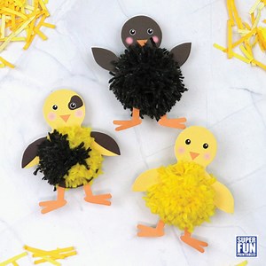 Pom Pom Chick