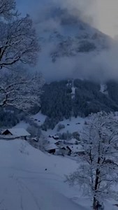 389 reactions · 13 comments | A good morning text can set the tone for your entire day. It can boost your mood, increase your productivity, and improve your overall well-being. So, make it a habit to send a positive message to someone you care about each morning. You never know how much it could mean to them. #positivevibes #goodmorning #inspiration #love #relationship #couple #partner #friendship #family #happiness #positiveenergy #gratitude #idrivemotivation | I_drive_motivation | Facebook