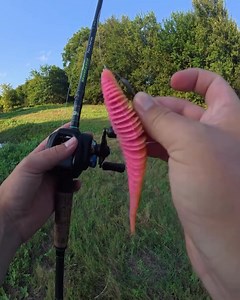 Nice Pond Catch by @dfwfishing13 #fishing #proangler #proanglerapp #comedyreels #fishinglife #fishingaddict #bassfishing #fisherman #flyfishing #fishingmemes #fishingmeme #fishermen #troutfishing #trendingreels #bigbass #bigfish #bassfishing #sportfishing #bass #memes #funny #fishingislife #fishingdaily #fishinggirl #fishingpics #fishingvideos #tightlines #fyp #conservation #catchandrelease | Pro Angler Fishing App