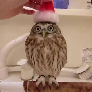 As soon December starts... 👀 | Cash Generator