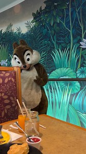 Chip at Garden Grill Restaurant #waltdisneyworld #epcot #gardengrillrestaurant #chipndale #disneyover50 | DisneyOver50