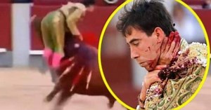 Torero sufre por segunda vez una grave cornada en el cuello