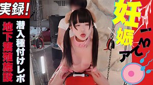 ❤️【Leaked】Undercover at a female dog breeding facility&period;