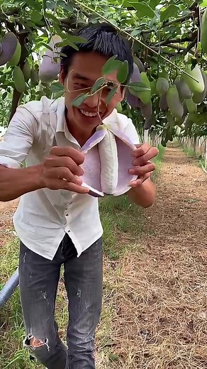 #fruits #asmr #happy #viral_video