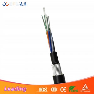 [Hot Item] GYFTY33 Fiber Optic Cable with Anti Rodent Protection