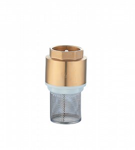 [Hot Item] Brass Check Valve 3/4" Thread Female One Way Backflow Preventer Check Valves