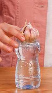 Homegrown Garlic Secrets | Crafty Panda How