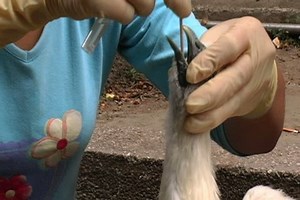 Guangzhou China October 24 2004 Scientists Stock Footage Video (100% Royalty-free) 4341818 | Shutterstock