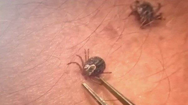With more ticks testing positive for Lyme disease earlier in the season, officials say prevention is key