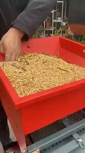 4in1 multifunctional combined rice mill,solve lots of problem for rice farmers! | Dawn Agro Machinery