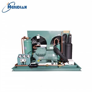 [Hot Item] Hermetic Scroll Inverter Compressor Open-Air Cooling Condensing Unit Walk-in Freezer Refrigeration