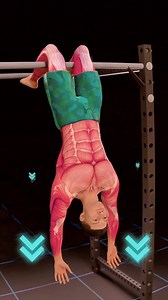 By hanging upside down, gravity gently decompresses the spine, creating space between vertebrae. This reduces pressure in the lower back, and neck while improving blood flow and relaxing tight muscles. Stay loose and breathe slow. #spinehealth #backpainrelief #mobility #recovery #stretch | SynerMuscle