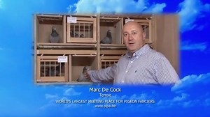 13K views · 270 reactions | Team Ahmadi on Reels | Facebook