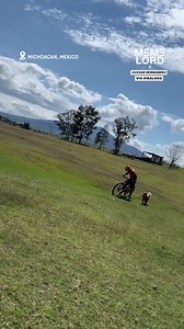 What was he even thinking? | Meme Lord