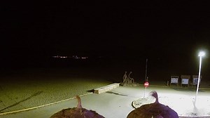 Live Webcam El Sol Sunshine-Bar, Son Serra de Marina, Mallorca, Illes Balears - Spain