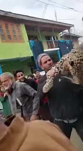 🎥Leopard captured alive in Budgam* Budgam, Mar 12 : A leopard was captured alive from the house of a local in Watalpora Beerwah area of Central Kashmir’s Budgam district. Locals told news agency Kashmir News Trust that a leopard was spotted in the house of one Abdul Rasheed Mir son of Abdul Aziz Mir at Watalpora village and was subsequently captured alive by Wildlife Department officials with the assistance of locals. An official said that they were looking for this leopard for the past six mon