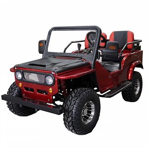 [Hot Item] High Speed 60km/H Adults and Kids Children ATV Dune Buggy Go Karts