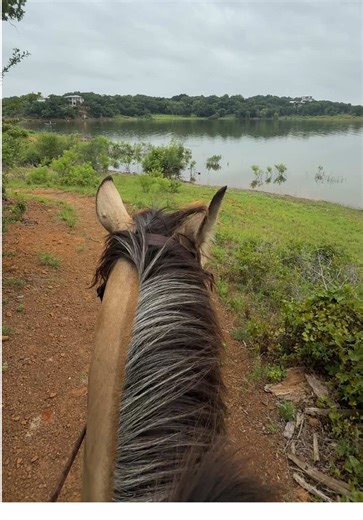 RedBarnRanch_txBACKUP on TikTok