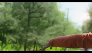 Dhaka DC Office on Reels