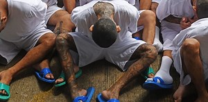 What gangs tell us about the world we live in