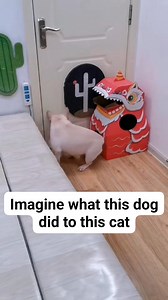 7.2M views · 90K reactions | #reelsviral #fypage #fyp | Ifeanyi Chukwu Stanley | Facebook