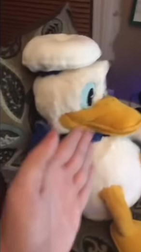 Donaldducc: Donald on the Computer Again!!! (Reuploaded) | donaldducc computer