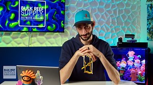 2.3K views | Bryopsis is easy to get into your reef tank, and twice...