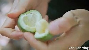 Nghe nói ở Dak Mil nhà nào cũng có khu vườn như này Muốn làm rể Dak Mil đầu tiên phải biết làm làm vườn nha !!! Xem full link ở phần cmt nha mọi người #vlogdakmil | Vlog Đắk Mil