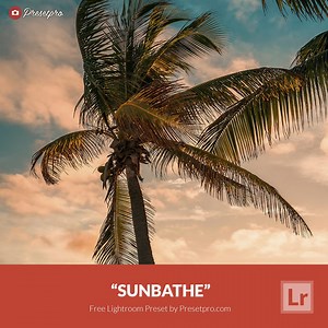 Free Lightroom Preset Sunbathe