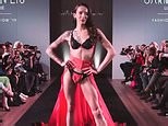 Trans fashion show features lingerie designed for trans women