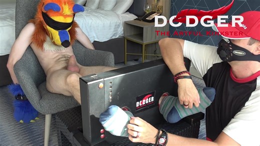 Furry Tomented in the stocks - preview