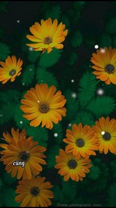 7K views · 156 reactions | Nguyễn Thoa on Reels | Facebook