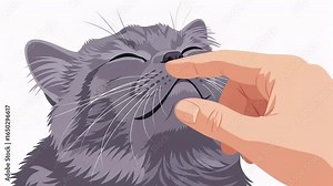 Happy cat purring while getting chin scratches in a loving moment, a sweet pet video clip