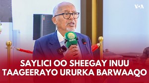 Madaxweyne ku-xigeenka Somaliland Cabdiraxmaan Cabdillaahi Ismaaciil Saylici, oo muddo dheer ka mid ahaa xisbiga talada haya ee Kulmiye, ayaa sheegay inuu taageeri doono Urur -siyaasadeedka Barwaaqo doorashada soo socota ee u muddaysan 13-ka November 2024-ka, taasoo noqonaysa doorashadii afraad ee madaxtooyada oo toos ah tan iyo sannadkii 2003-dii. | VOA Somali