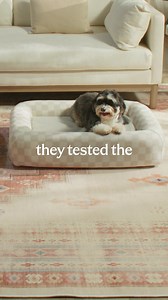 Ruggable Pet Beds have arrived and they’re purrrfect. | Ruggable