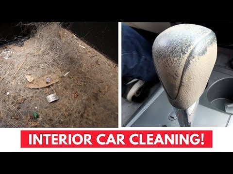 Oddly Satisfying Interior Car Cleaning - Compilation #1
