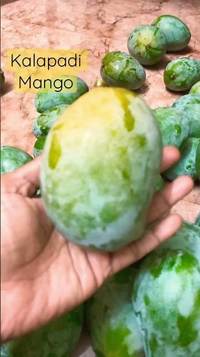 Kalapadi mango 🌸one of the sweetest mango