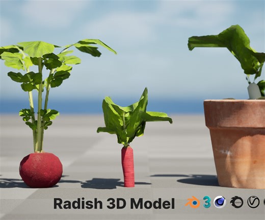 ArtStation - Radish Plant Collection | Game Assets