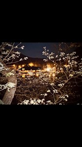 1.6K views · 18 reactions | Mountain Harbor Resort and Spa on Reels | Facebook