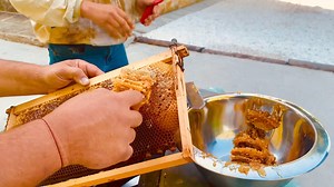 Today We Are Proudly Extracting Our Honey at Dieci Boutique Restaurant with the aid of our friend from: Ivelin Imperov Bees #honey #bee #bees #beekeeping #madu #nature #savethebees #honeybee #love #beekeeper #honeycomb #honeybees #food #maduasli #rawhoney #miel #beehive #organic #healthyfood #natural #purehoney #honig #healthy #madumurni #beesofinstagram #sweet #miele #pollen #apiary #skincare. | Dieci Boutique Restaurant