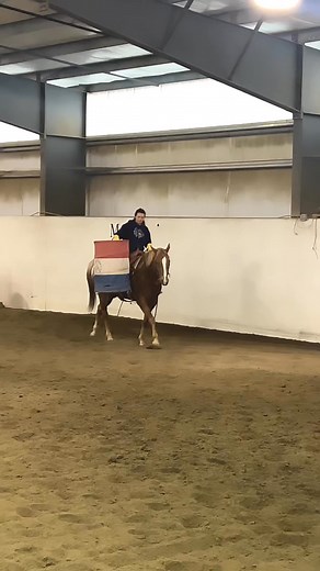 🌟 Hand It To Dexter 🌟2020 APHC Chestnut Gelding 16h“Dexter” has the ultimate in your pocket gelding personality! If you are gelding fan, then Dexter is your guy! He was started here by us as a 2yr old and has been in training ever since. He has all the buttons and now just needs his person! Dexter has been shown a couple of times in hand and under saddle and now wants to go on all the adventures with his next human! We think he will really enjoy trail riding and any kind of obstacle! He loves 