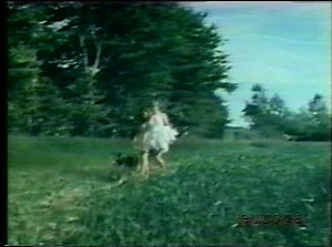 Gentle animal sex with two horses